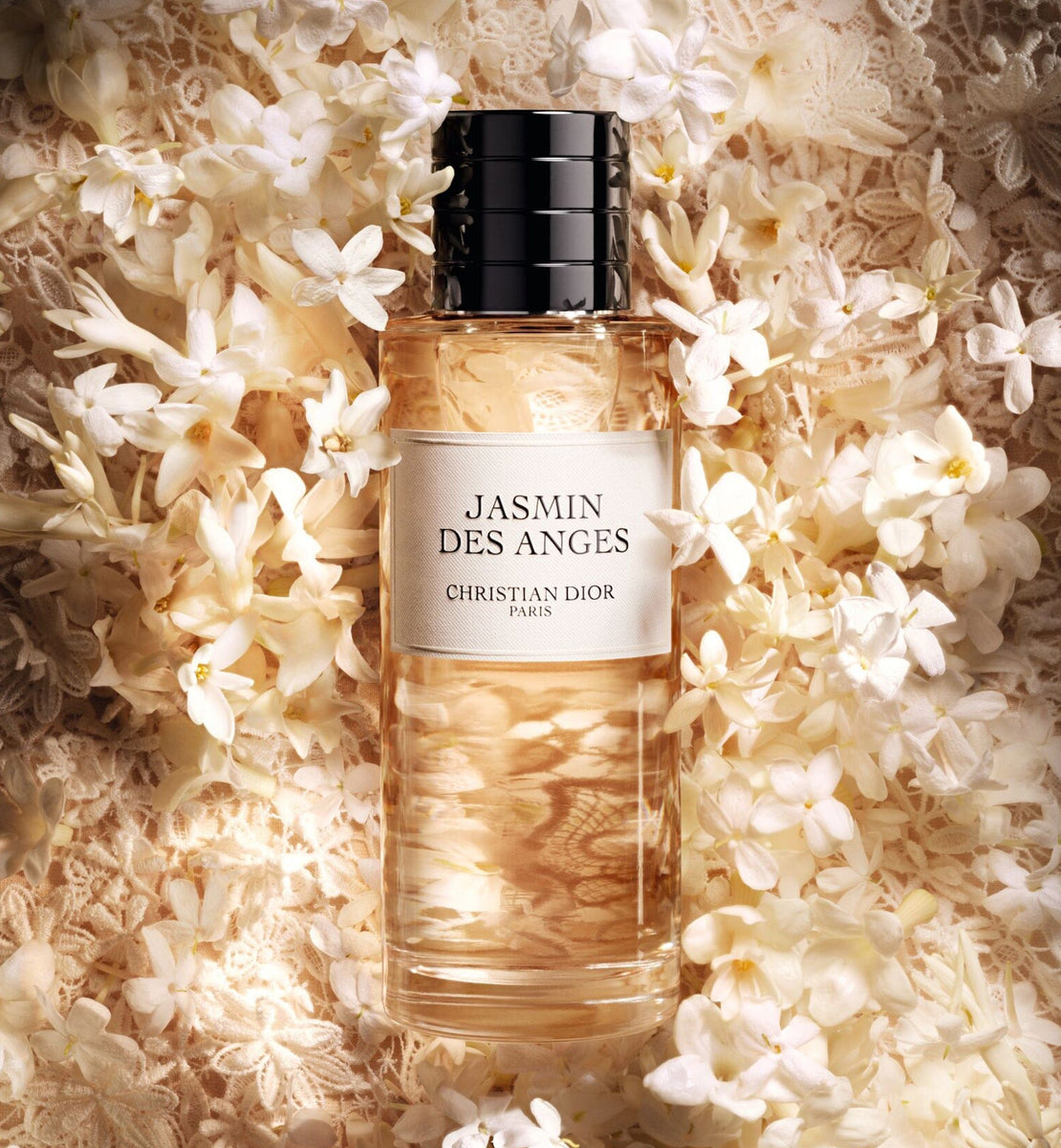 JASMIN DES ANGES | DIOR KW