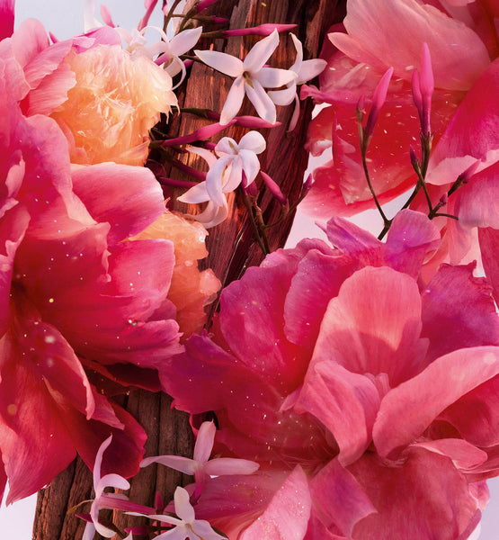 MISS DIOR PARFUM
