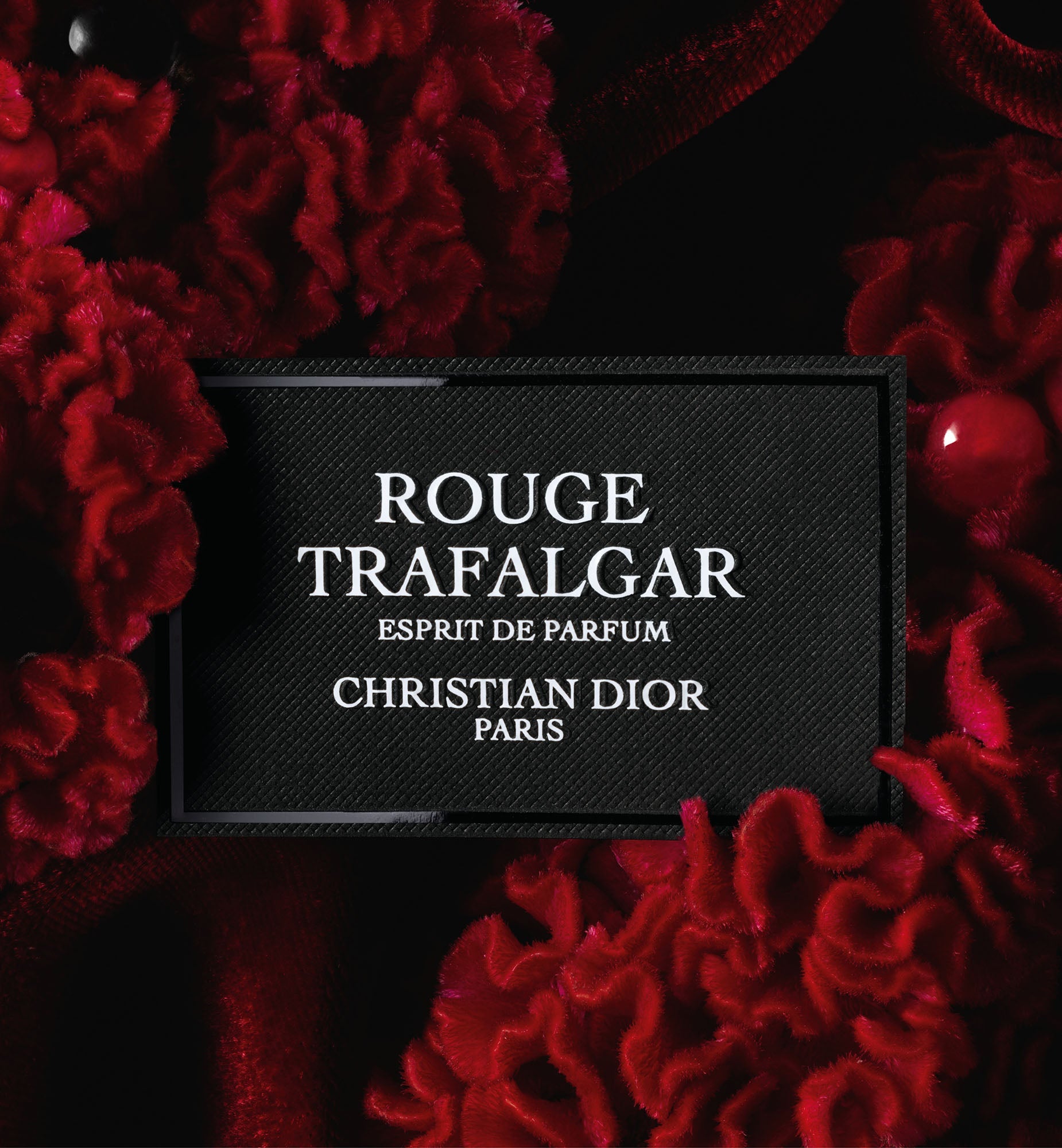 Dier Rugai ROUGE TRAFALGAR ESPRIT DE PARFUM | DIOR KW