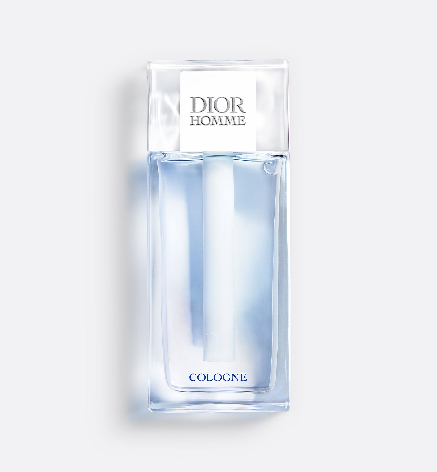 Sauvage Elixir