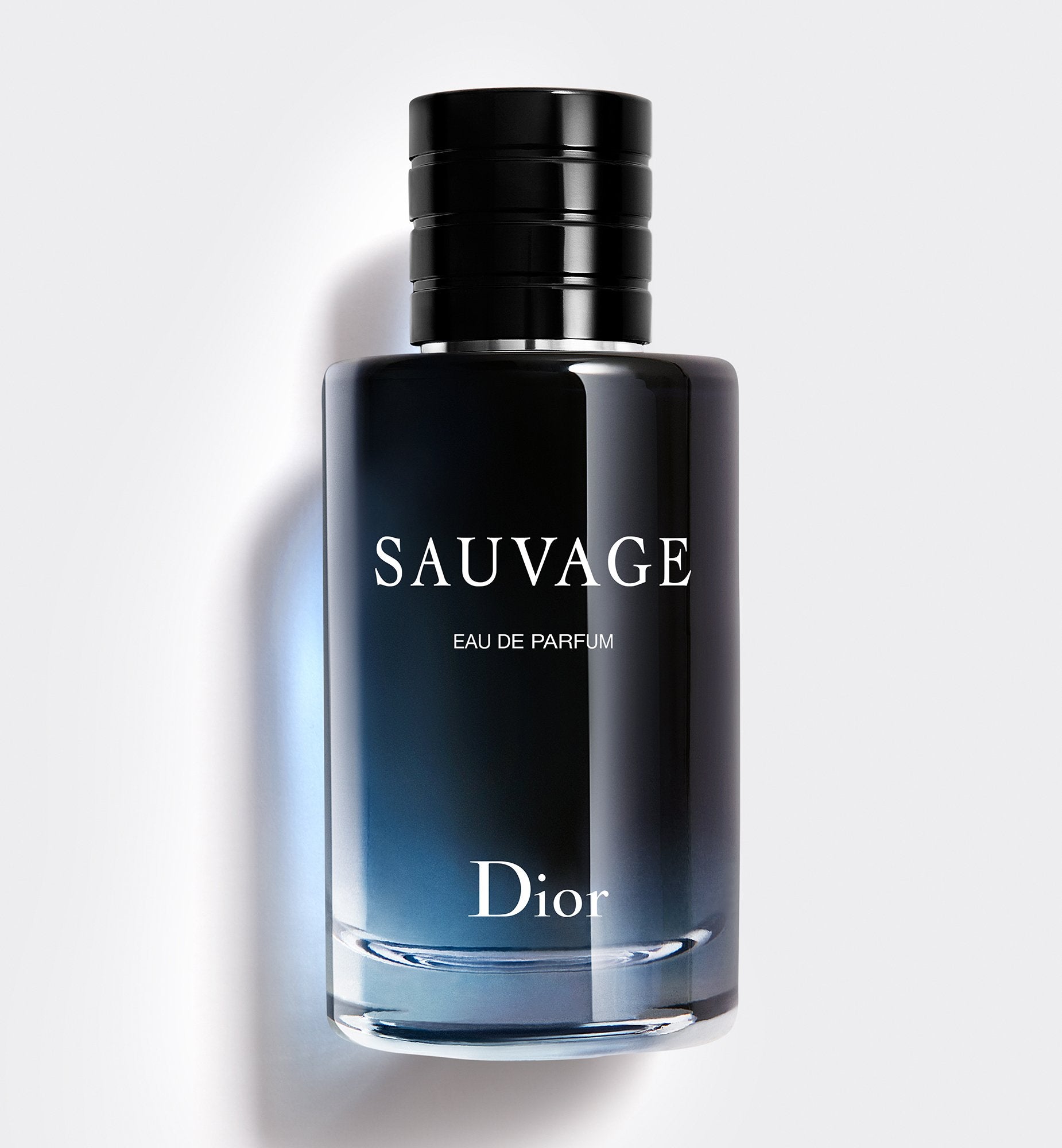 Fragrance 2025 dior sauvage